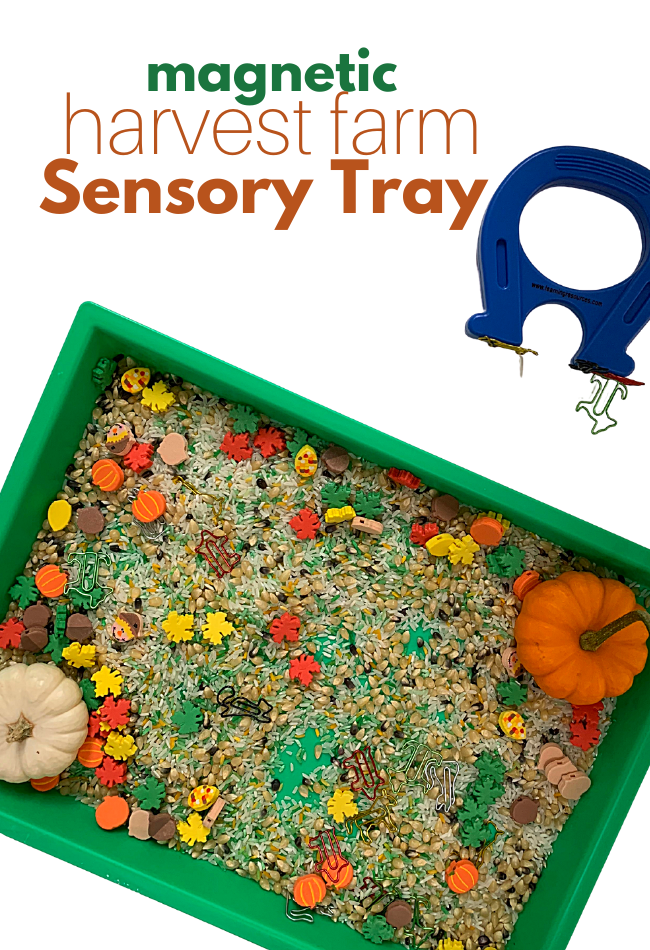 Harvest Farm Magnetic Sensory Tray - No Time For Flash Cards